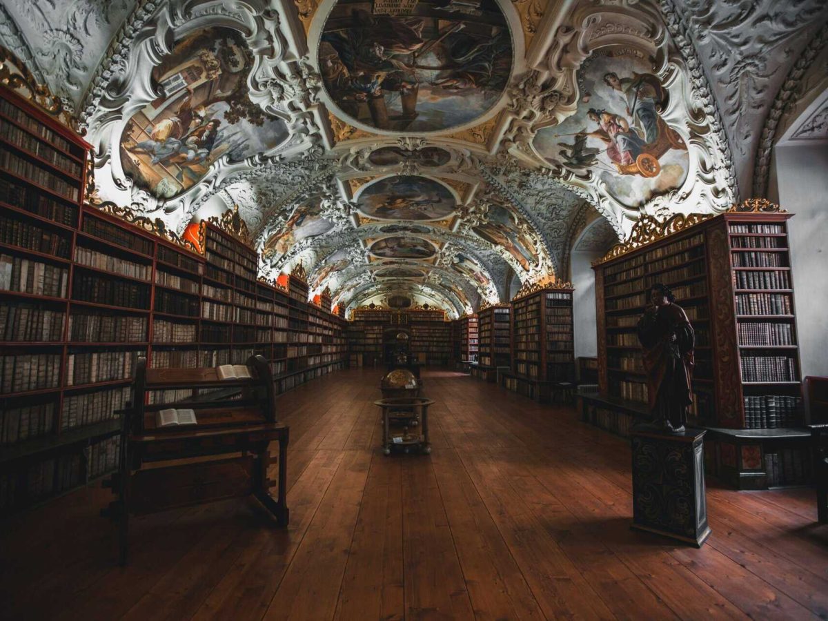 hieu-vu-minh-He8-FZl-o10-unsplash