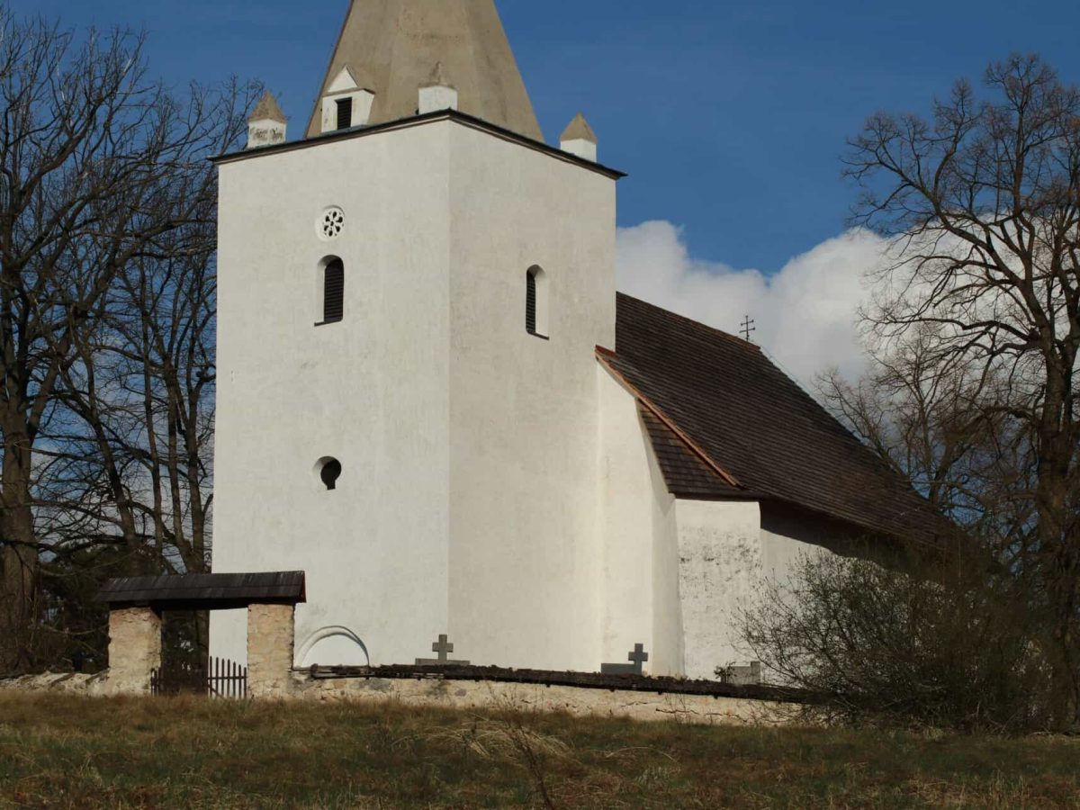 peter-poluch-tYW8UWLrcYU-unsplash